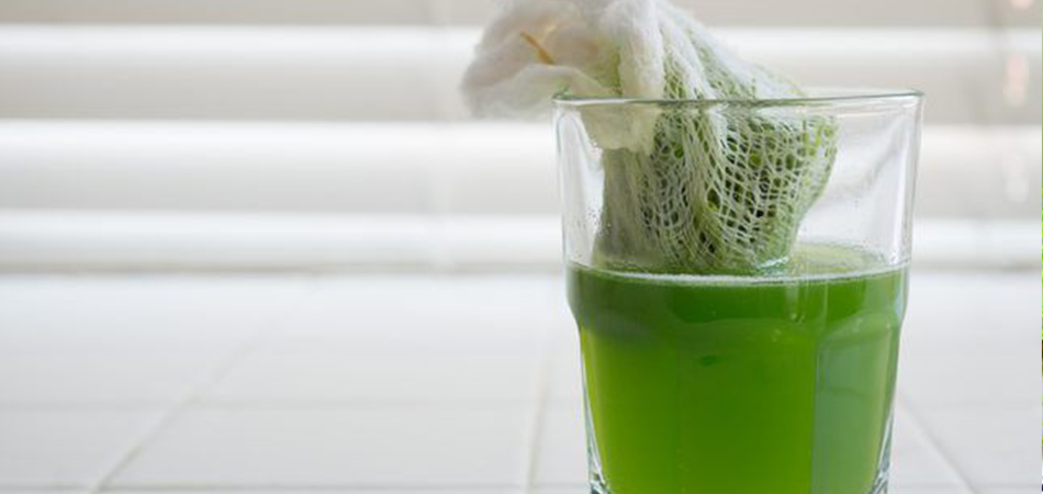 How to Juice Wheatgrass Without a Juicer