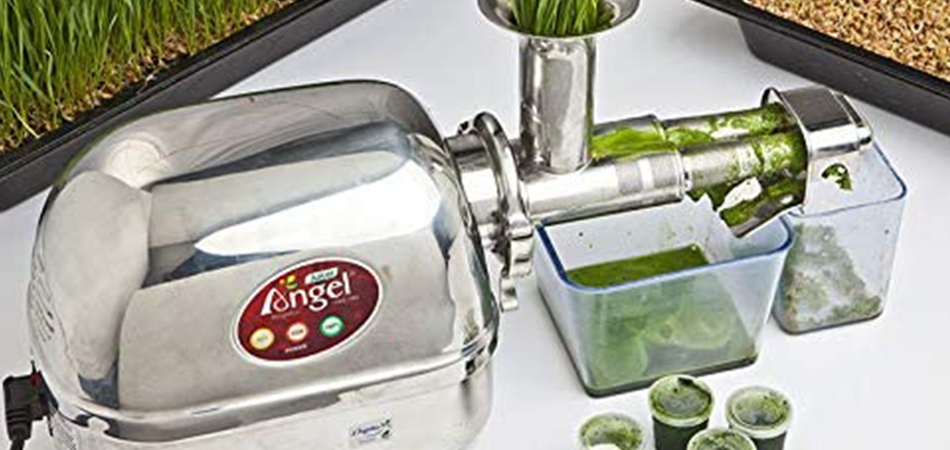 Super Angel Juicer Review