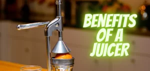 How To Clean A Juicer_ (3)