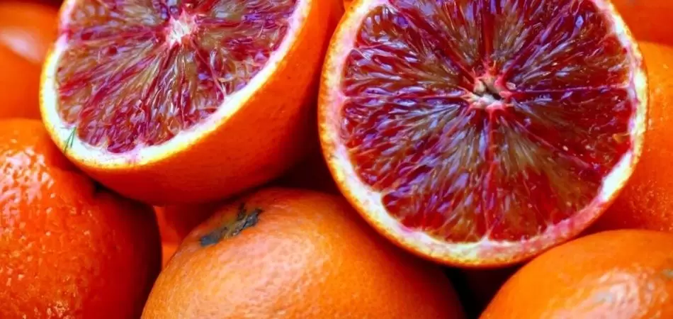 Blood Orange